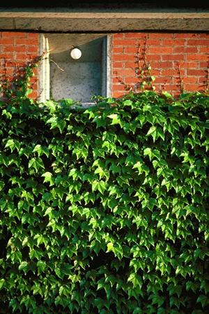 和泉市のおすすめリフォーム店