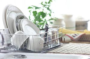 カビに関する悩みなら「株式会社せら」に相談