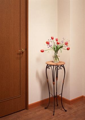 マンション暮らしも火災保険で安心